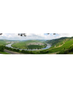 weingut_loersch_-_moselscheife_2